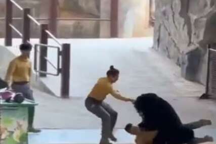 Medvjed napao čuvara zoološkog vrta u kineskom Hangzhou (VIDEO)