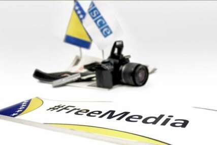 Misija OSCE u BiH: Postupanje prema urednici Spin.info krši obaveze BiH