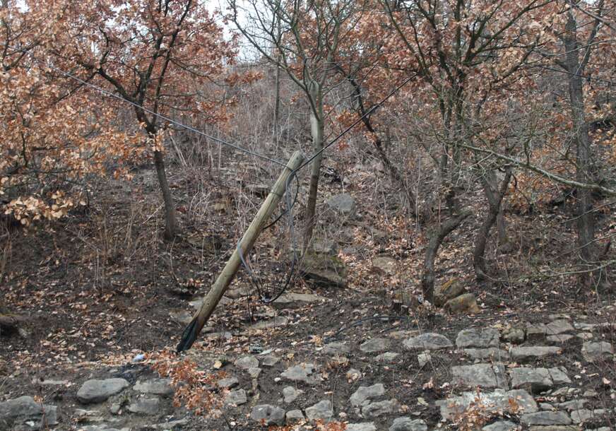 FOTO:  E. MURAČEVIĆ