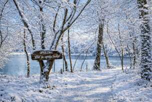 FOTO: FBS. JAPODSKI OTOCI 