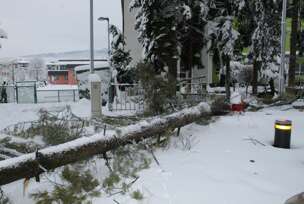 FOTO: E. MURAČEVIĆ