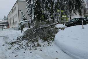 FOTO: E. MURAČEVIĆ