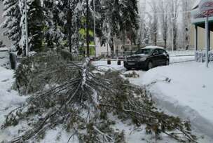 FOTO: E. MURAČEVIĆ