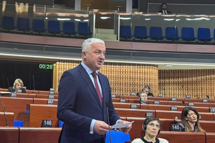Borenović: "Pripadamo evropskoj civilizaciji, vladajuće elite koče evropski put BiH"
