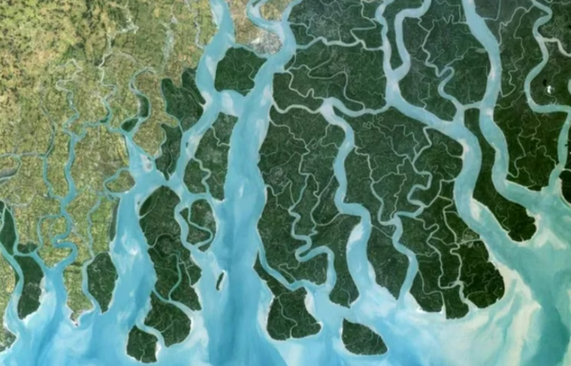 FOTO: PLANET OBSERVER