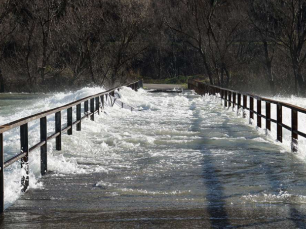FOTO: FENA