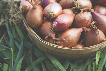 Ljutika mala glavica s velikom snagom: Zašto je nutricionisti posebno cijene