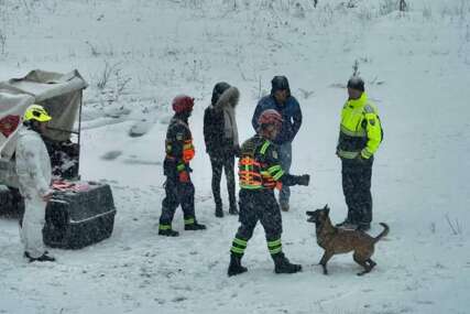 OGROMNA POMOĆ BiH dobila još tri potražna psa obučena za spašavanja