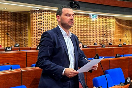 Magazinović u Strasbourgu: Zaustaviti uplitanje Srbije i Hrvatske u unutrašnje stvari BiH