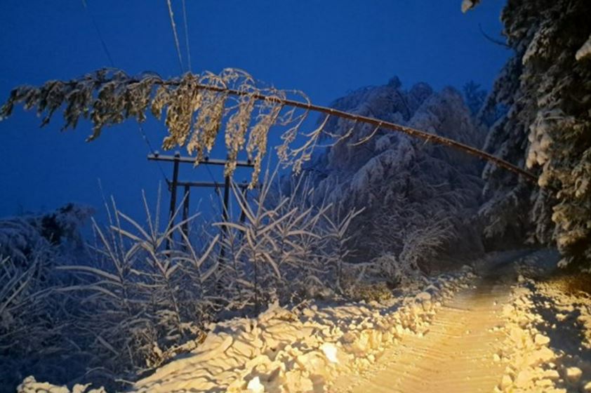 FOTO: TANJUG/AP