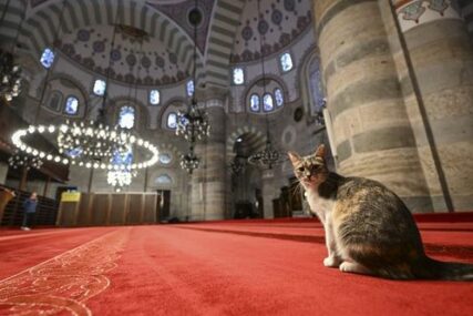 Džamija sultanije Mihrimah u Istanbulu među najznačajnijim djelima Mimara Sinana