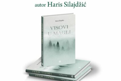 Visovi u magli