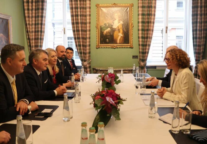 FOTO: KABINET ČLANA PREDSJEDNIŠTVA BIH DENISA BEĆIROVIĆA
