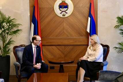 Cvijanović i Diwald o političkim prilikama u BiH i regiji te modelima unapređenja ekonomske saradnje