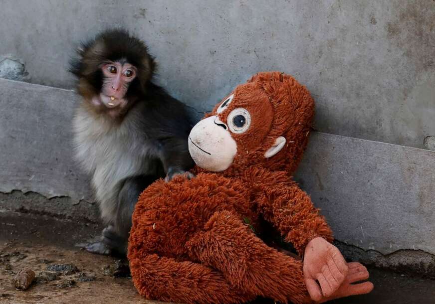 FOTO: REUTERS/KIM KYUNG-HOON