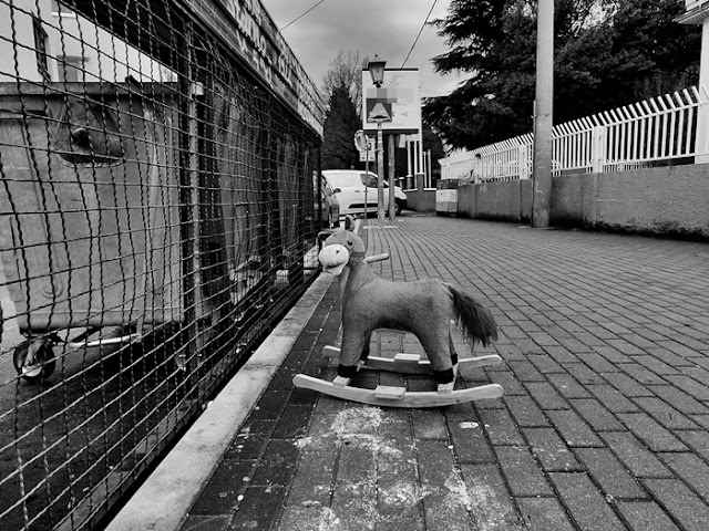 FOTO: USTUPLJENA FOTOGRAFIJA