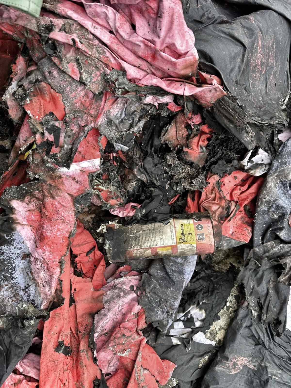 FOTO: USTUPLJENA FOTOGRAFIJA