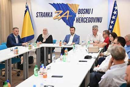 Stranku za BiH (SBiH) u Tuzlanskom kantonu, napustili zastupnik Admir Čavalić, načelnik Čelića i niz vijećnika