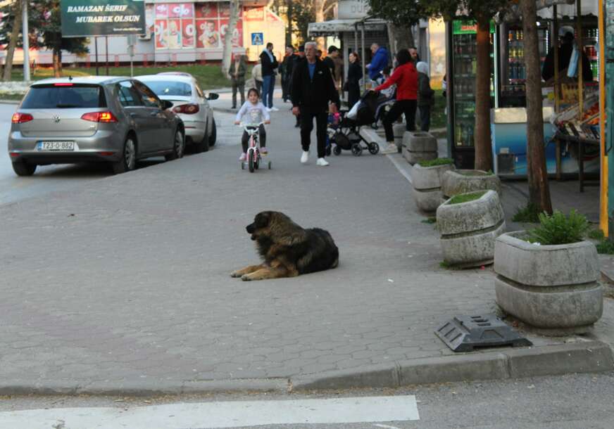 FOTO: CENTRALNA VOGOŠĆANSKA ULICA JOŠANČKA 