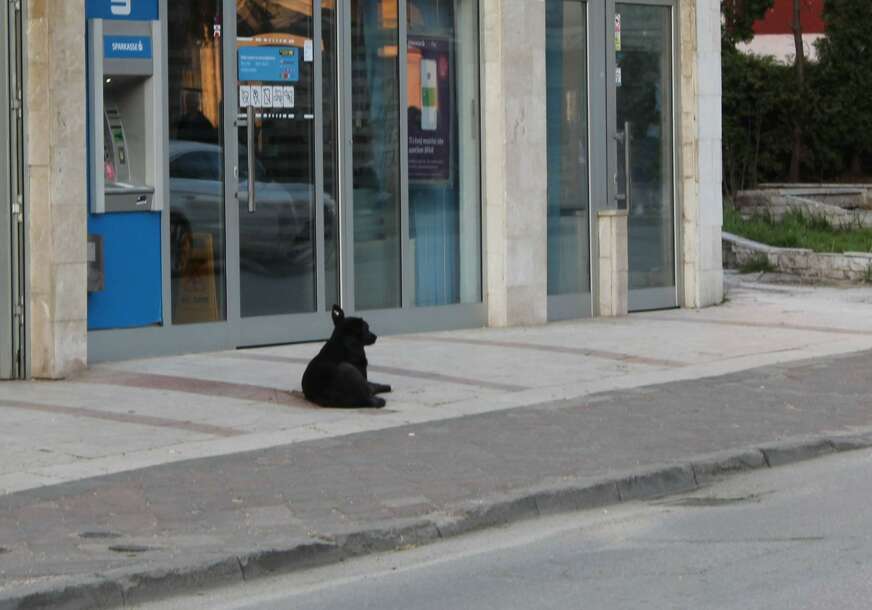 FOTO:  E. MURAČEVIĆ