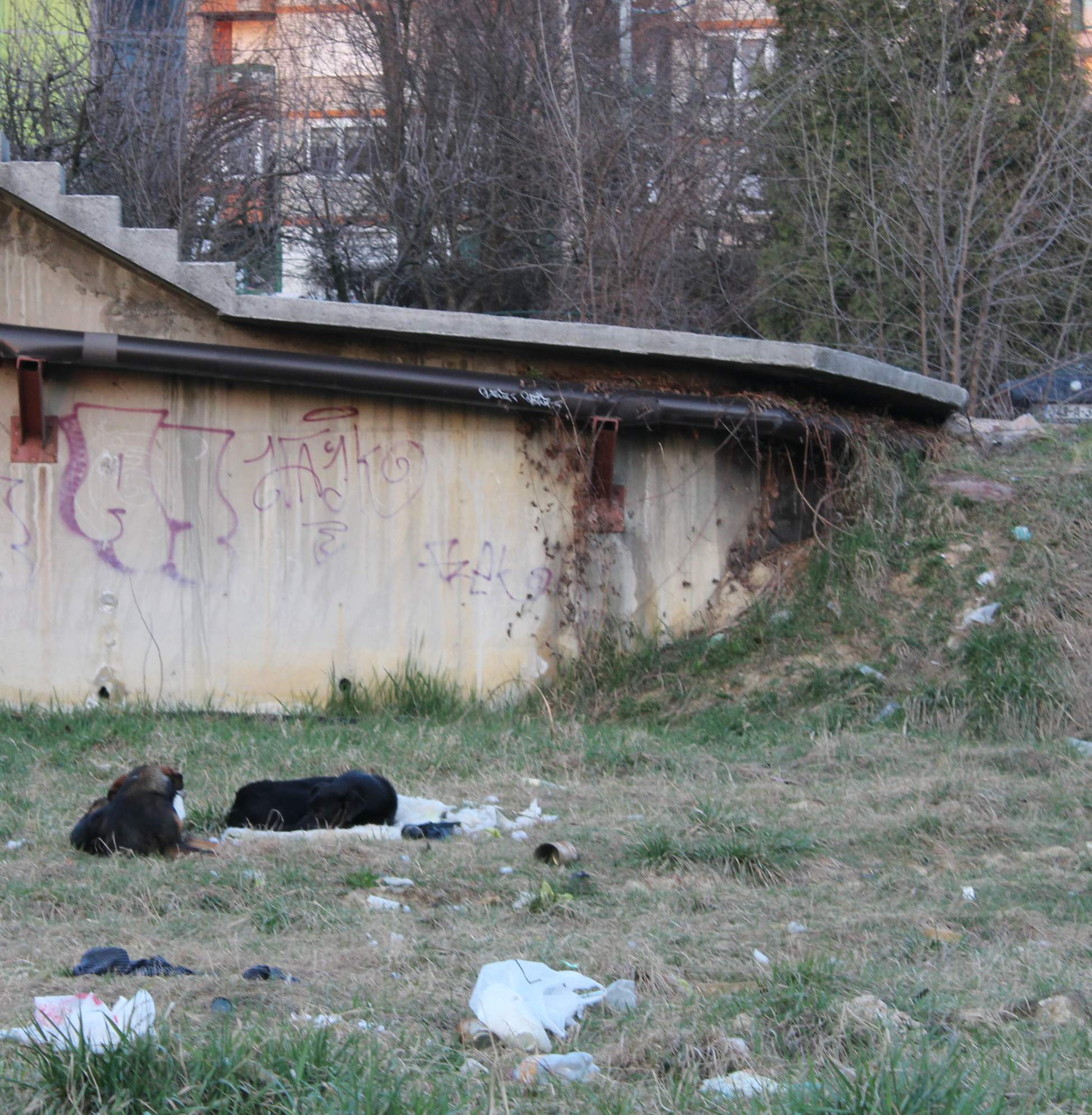 FOTO: NAPUŠTENO GRADILIŠTE U IGMANSKOJ ULICI UZ AUTOBUSKO STAJALIŠTE BIOKOVO
