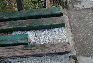 FOTO: E. MURAČEVIĆ