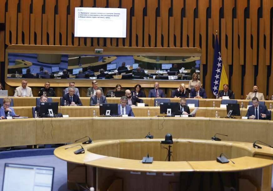 FOTO: AMER KAJMOVIĆ / FENA
