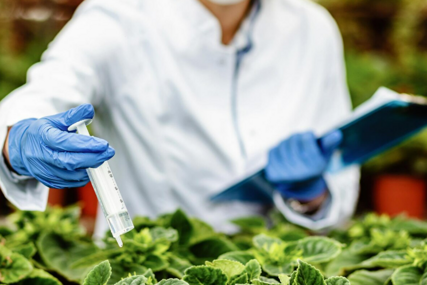 Novi izvještaj o pesticidima u hrani: Koje su kulture na vrhu liste?