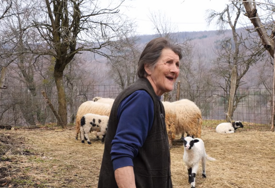 Duboko u šumama iznad Fojnice živi Lucka Marković: „Sama sam, nema nikoga da mi pomogne“ (VIDEO)