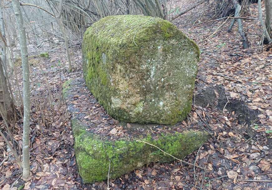 FOTO: ČUVARI BAŠTINE – BASSANIA