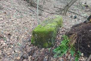 FOTO: ČUVARI BAŠTINE – BASSANIA
