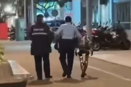 NEVJEROVATNO! U Kini uhapšen robot