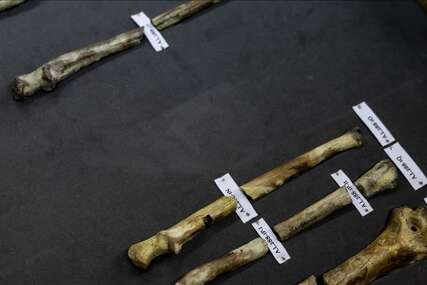 Pronađeni skeletni ostaci mogli bi pripadati junaku “Tri musketara” d’Artagnanu