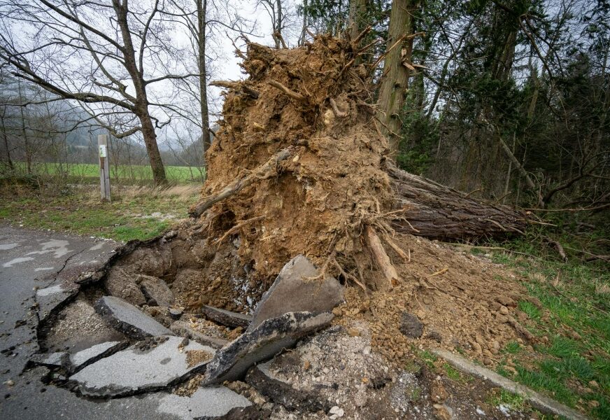 FOTO: RTVSLO