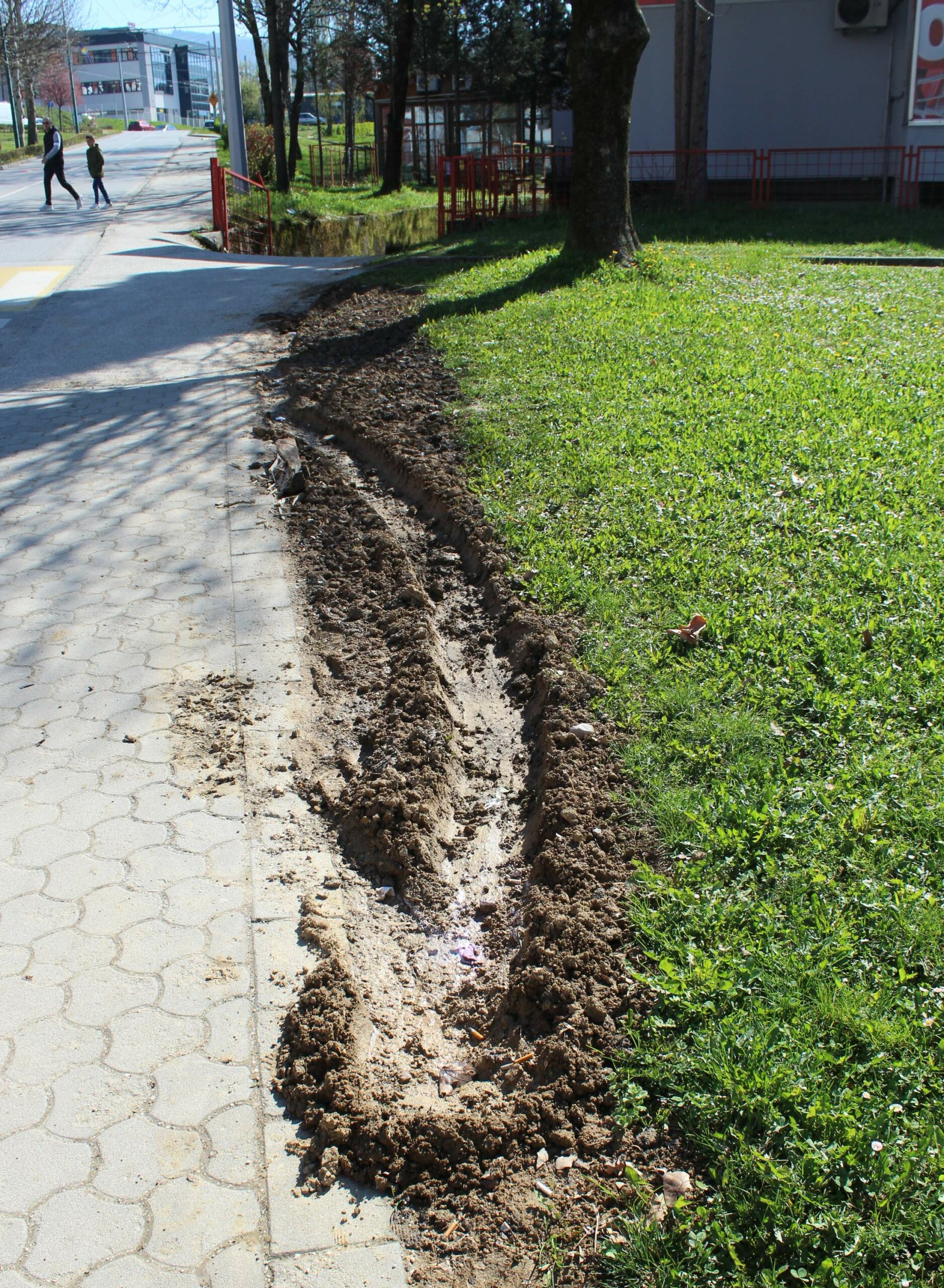 FOTO: ESET MURAČEVIĆ
