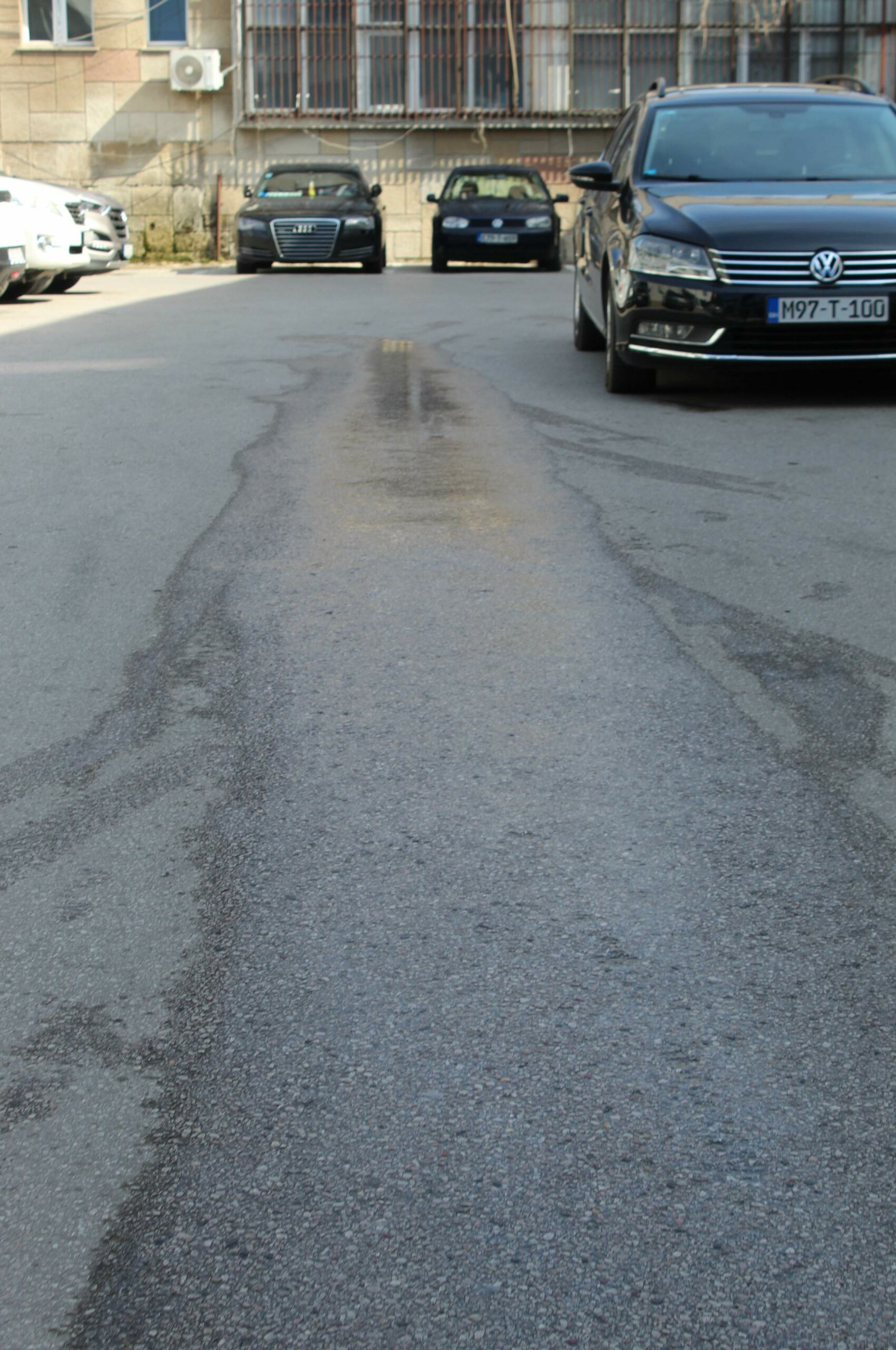FOTO: ESET MURAČEVIĆ