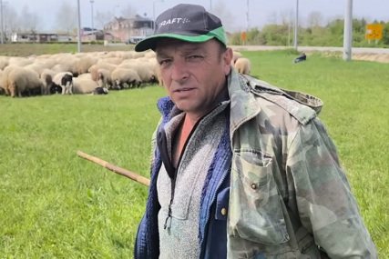 Čobanin sa 800 ovaca: "Radimo 6 mjeseci bez skidanja čizama, a niko nas ne cijeni"