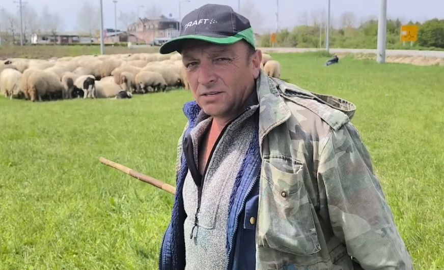 FOTO: PRINTSCREEN VIDEO AGROKLUB