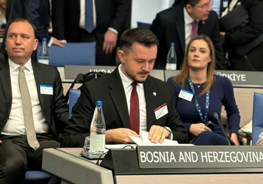 FOTO: SDP BIH