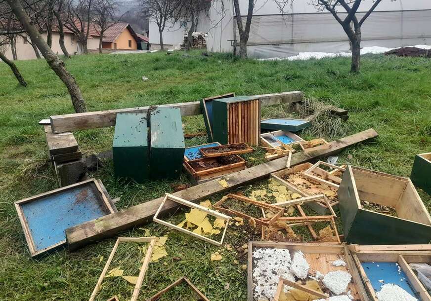 FOTO: FACEBOOK/BILJANSKA DOLINA 