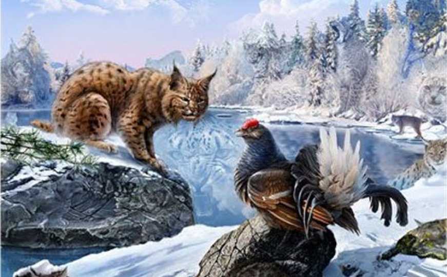 FOTO: FACEBOOK