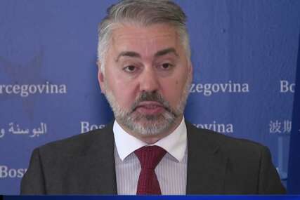 Hodžić: Privatizacija društvene imovine bila je model za nadolazeću 'privatizaciju' javnih dobara