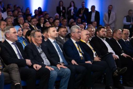 Semir Efendić ponovo izabran za predsjednika Stranke za BiH
