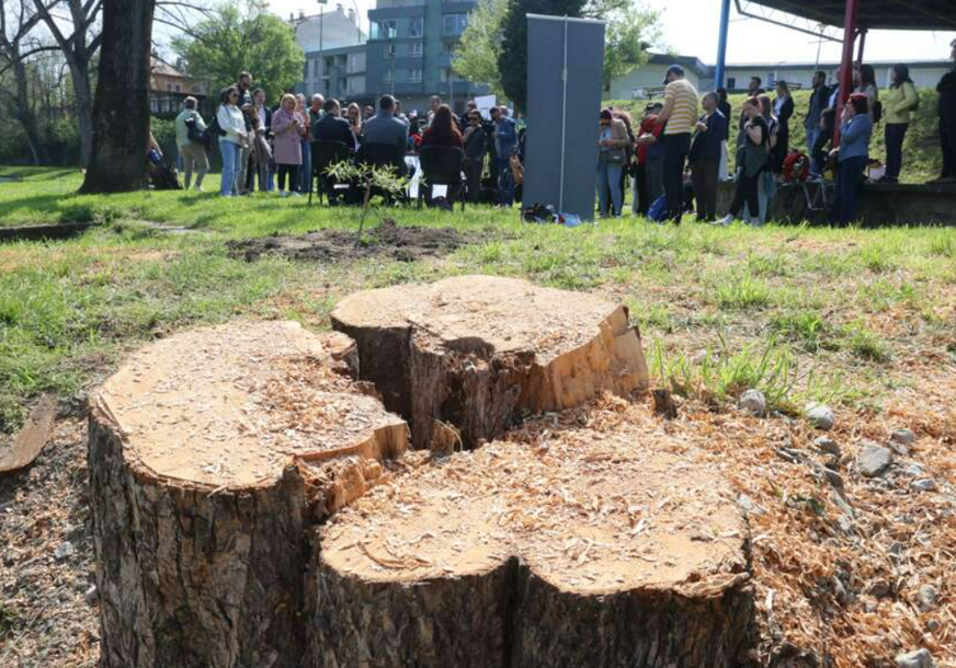 FOTO: SINIŠA PAŠALIĆ/RINGIER