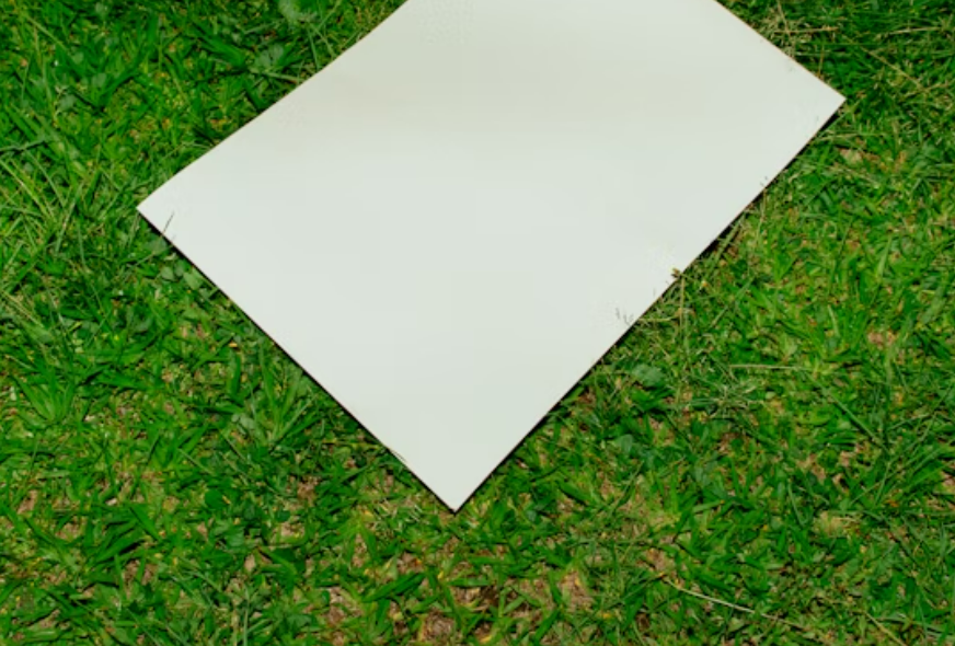 FOTO: UNSPLASH