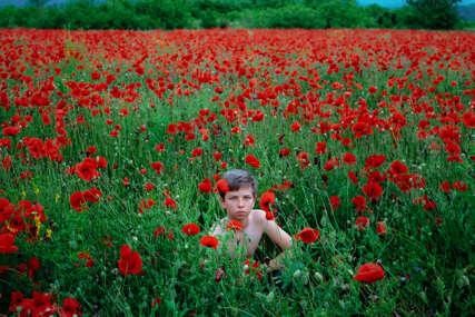 Svjetska i regionalna imena na petom Sarajevo Photography Festivalu: Izložbe, radionice i program sa temom "Under Pressure"