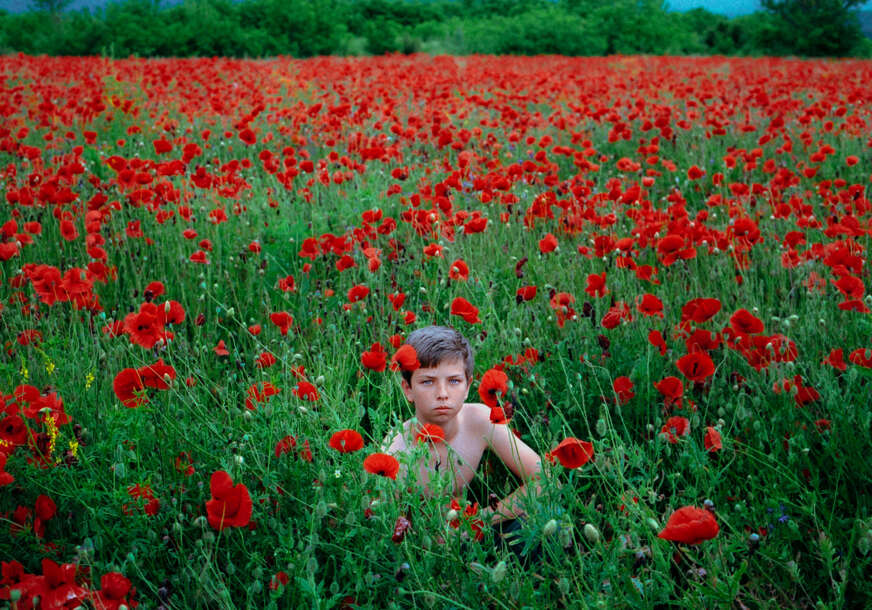 FOTO: STEFAN ĐORĐEVIĆ 