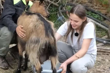 VIDEO Djevojčici Ajli iz Odžaka medvjed usmrtio ovcu