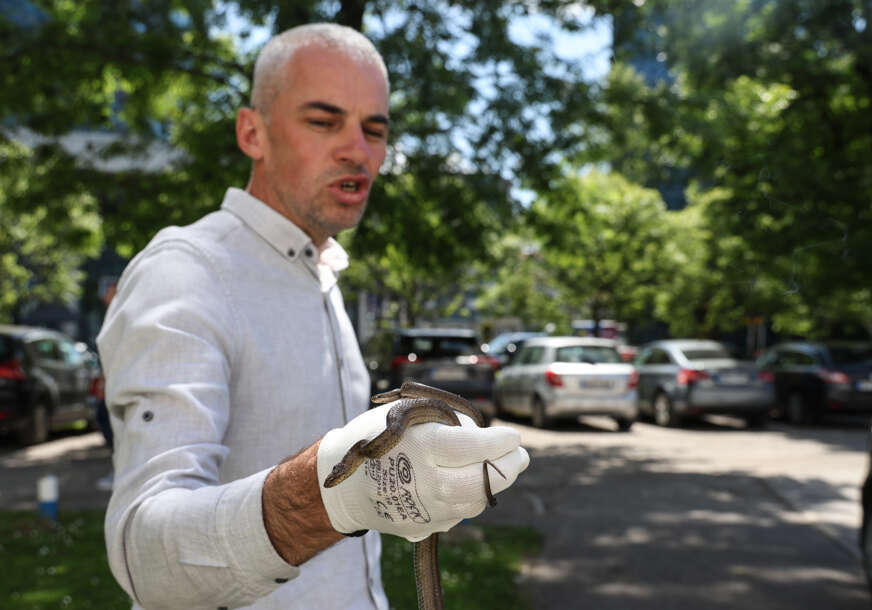 FOTO: MIOMIR JAKOVLJEVIĆ/RINGIER