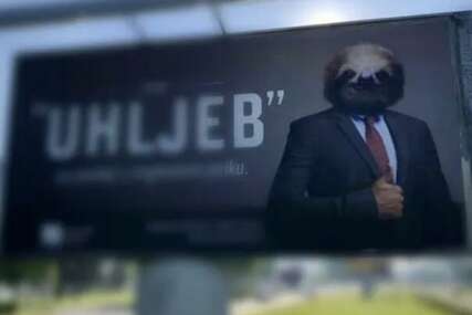 Kako je javni sektor u BiH privatizovao državu